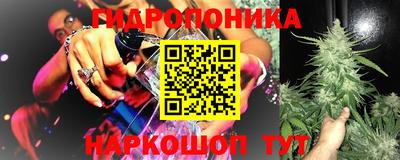 spice Можга