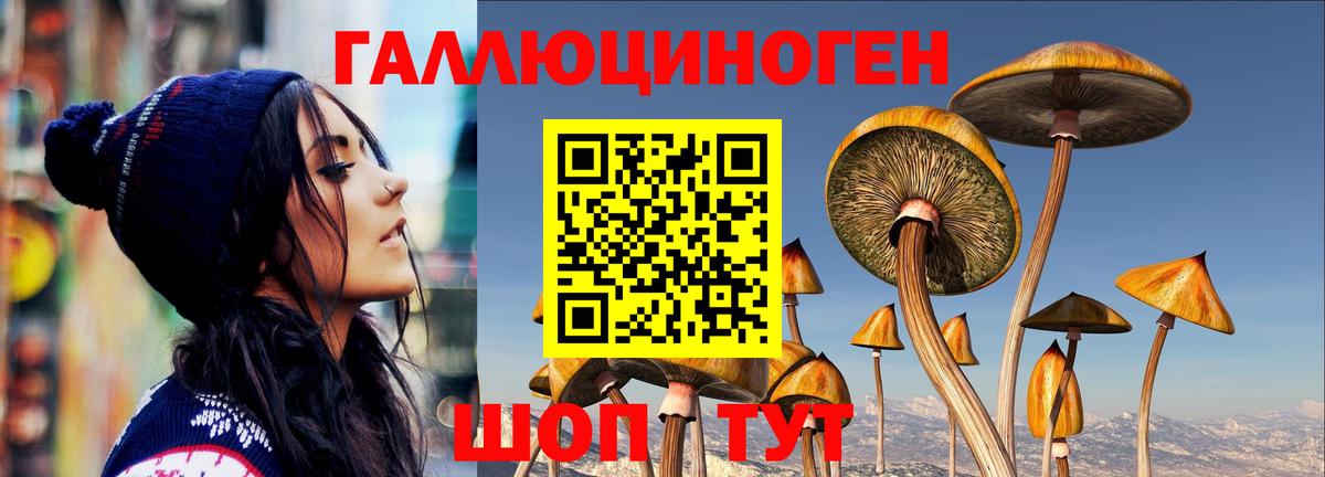 Сургут  Псилоцибиновые грибы мицелий  Вход с VPN  Галлюциногенные грибы Magic Shrooms 